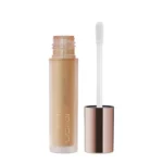 CAHSMERE TAKE COVER RADIANT CREAM CONCEALER